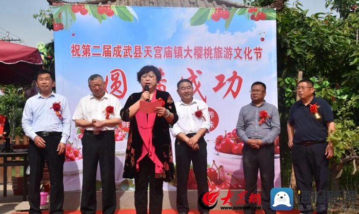县人大常委会副主任魏凤云宣布天宫庙镇第二届樱桃文化旅游节正式开幕